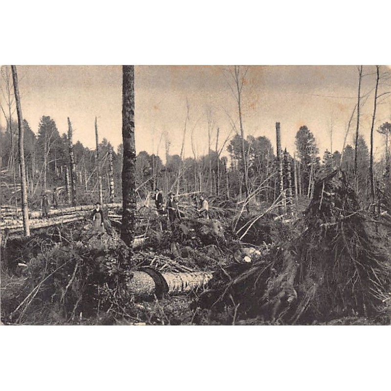 Rare collectable postcards of SWITZERLAND Suisse Schweiz Svizzera. Vintage Postcards of SWITZERLAND Suisse Schweiz Svizzera