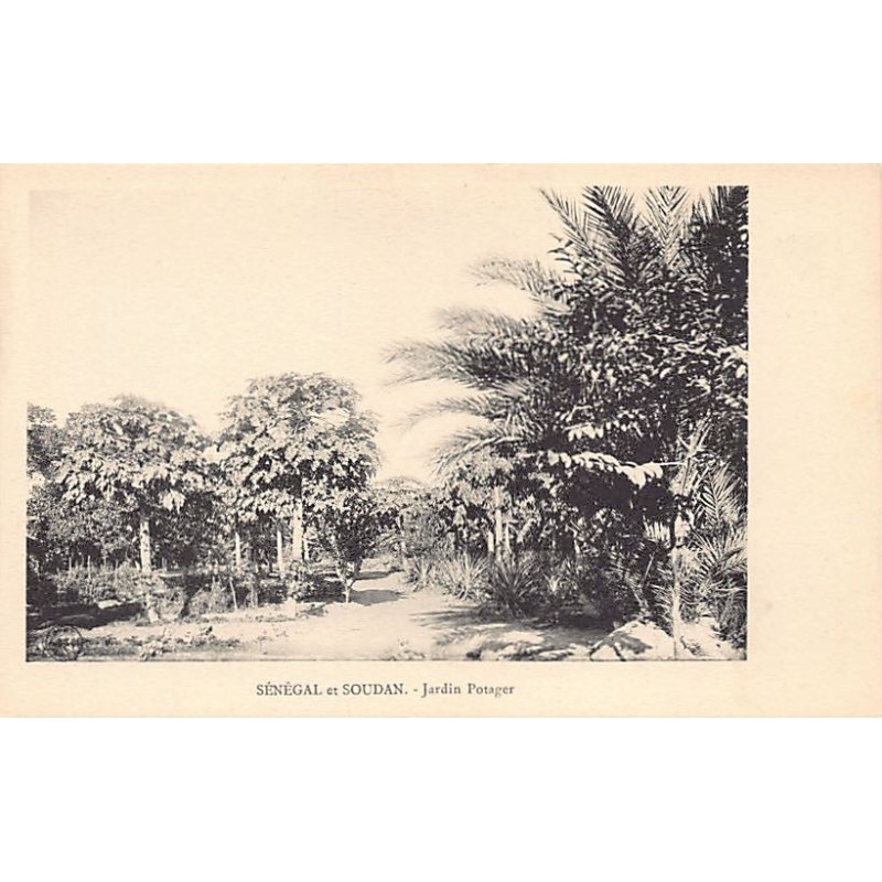 Rare collectable postcards of MALI. Vintage Postcards of MALI