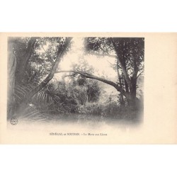 Rare collectable postcards of MALI. Vintage Postcards of MALI