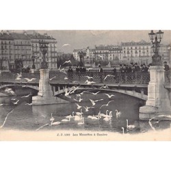 Rare collectable postcards of SWITZERLAND Suisse Schweiz Svizzera. Vintage Postcards of SWITZERLAND Suisse Schweiz Svizzera