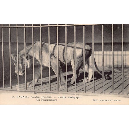 Rare collectable postcards of MALI. Vintage Postcards of MALI