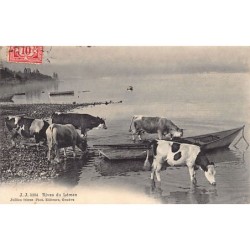 Rare collectable postcards of SWITZERLAND Suisse Schweiz Svizzera. Vintage Postcards of SWITZERLAND Suisse Schweiz Svizzera