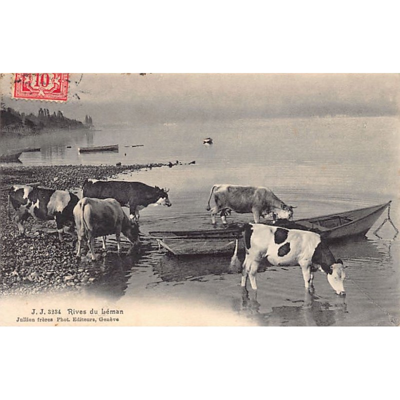 Rare collectable postcards of SWITZERLAND Suisse Schweiz Svizzera. Vintage Postcards of SWITZERLAND Suisse Schweiz Svizzera
