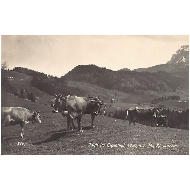 Rare collectable postcards of SWITZERLAND Suisse Schweiz Svizzera. Vintage Postcards of SWITZERLAND Suisse Schweiz Svizzera