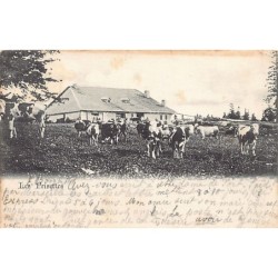 Rare collectable postcards of SWITZERLAND Suisse Schweiz Svizzera. Vintage Postcards of SWITZERLAND Suisse Schweiz Svizzera