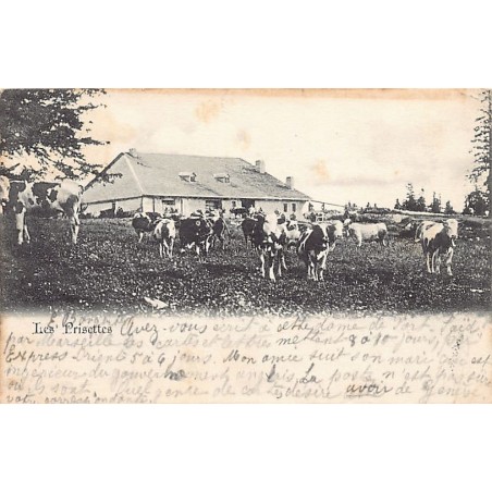 Rare collectable postcards of SWITZERLAND Suisse Schweiz Svizzera. Vintage Postcards of SWITZERLAND Suisse Schweiz Svizzera