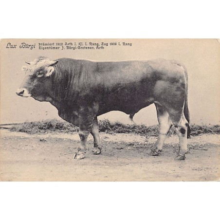 Rare collectable postcards of SWITZERLAND Suisse Schweiz Svizzera. Vintage Postcards of SWITZERLAND Suisse Schweiz Svizzera