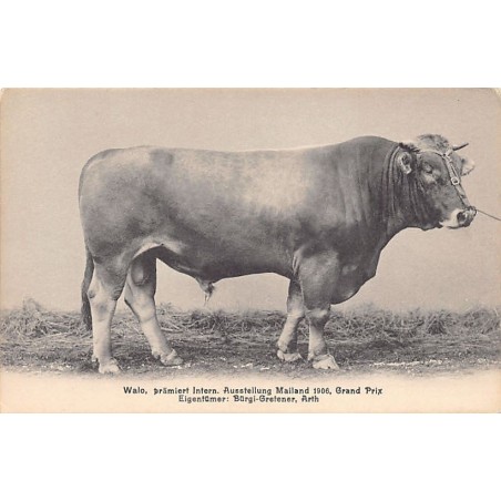 Rare collectable postcards of SWITZERLAND Suisse Schweiz Svizzera. Vintage Postcards of SWITZERLAND Suisse Schweiz Svizzera