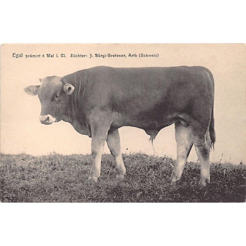 Rare collectable postcards of SWITZERLAND Suisse Schweiz Svizzera. Vintage Postcards of SWITZERLAND Suisse Schweiz Svizzera