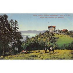 Rare collectable postcards of SWITZERLAND Suisse Schweiz Svizzera. Vintage Postcards of SWITZERLAND Suisse Schweiz Svizzera