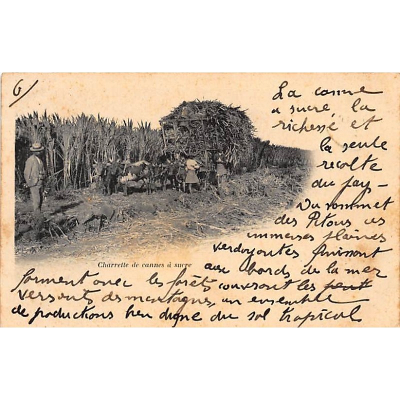 Rare collectable postcards of MAURITIUS. Vintage Postcards of MAURITIUS