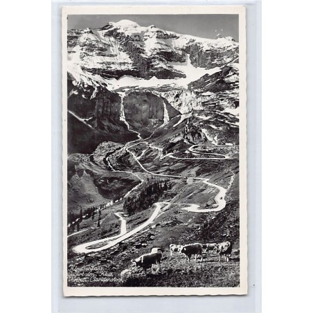 Rare collectable postcards of SWITZERLAND Suisse Schweiz Svizzera. Vintage Postcards of SWITZERLAND Suisse Schweiz Svizzera