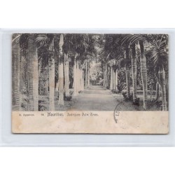 Rare collectable postcards of MAURITIUS. Vintage Postcards of MAURITIUS