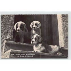 Rare collectable postcards of SWITZERLAND Suisse Schweiz Svizzera. Vintage Postcards of SWITZERLAND Suisse Schweiz Svizzera