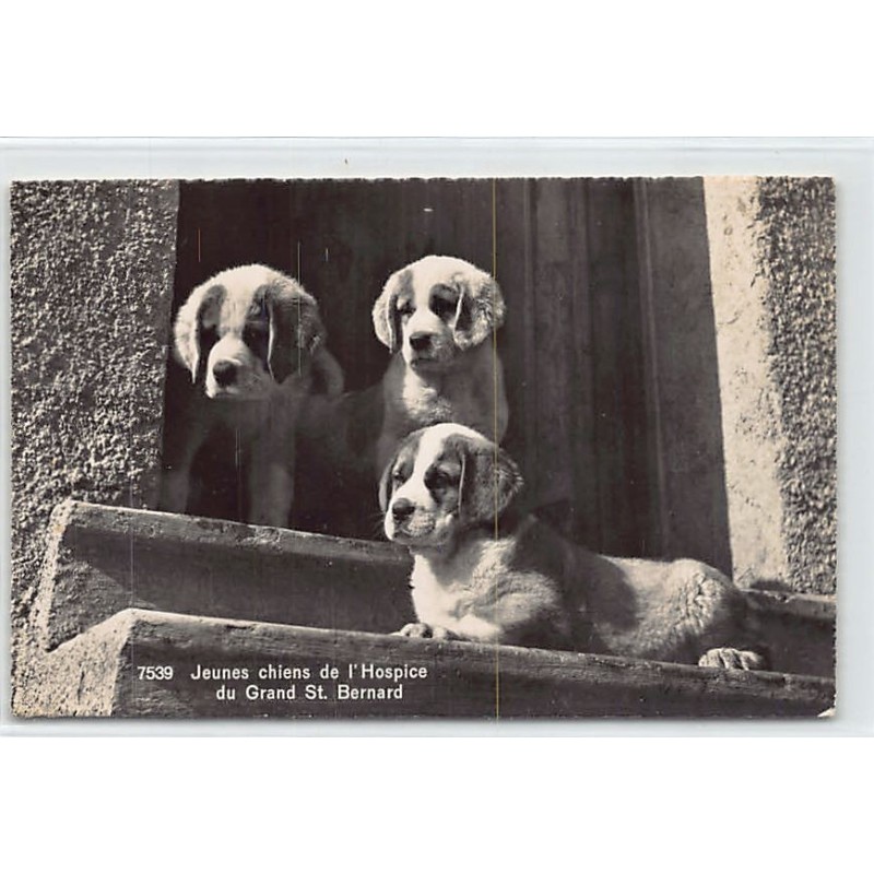Rare collectable postcards of SWITZERLAND Suisse Schweiz Svizzera. Vintage Postcards of SWITZERLAND Suisse Schweiz Svizzera