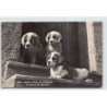 Rare collectable postcards of SWITZERLAND Suisse Schweiz Svizzera. Vintage Postcards of SWITZERLAND Suisse Schweiz Svizzera