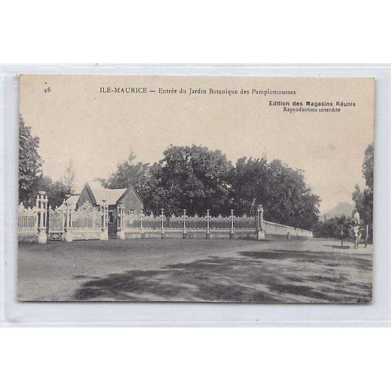 Rare collectable postcards of MAURITIUS. Vintage Postcards of MAURITIUS