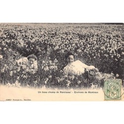 Rare collectable postcards of SWITZERLAND Suisse Schweiz Svizzera. Vintage Postcards of SWITZERLAND Suisse Schweiz Svizzera