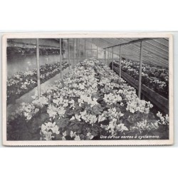 Rare collectable postcards of SWITZERLAND Suisse Schweiz Svizzera. Vintage Postcards of SWITZERLAND Suisse Schweiz Svizzera