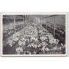 Rare collectable postcards of SWITZERLAND Suisse Schweiz Svizzera. Vintage Postcards of SWITZERLAND Suisse Schweiz Svizzera