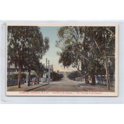 Rare collectable postcards of MOZAMBIQUE. Vintage Postcards of MOZAMBIQUE