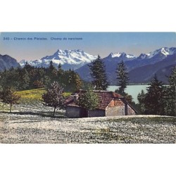 Rare collectable postcards of SWITZERLAND Suisse Schweiz Svizzera. Vintage Postcards of SWITZERLAND Suisse Schweiz Svizzera