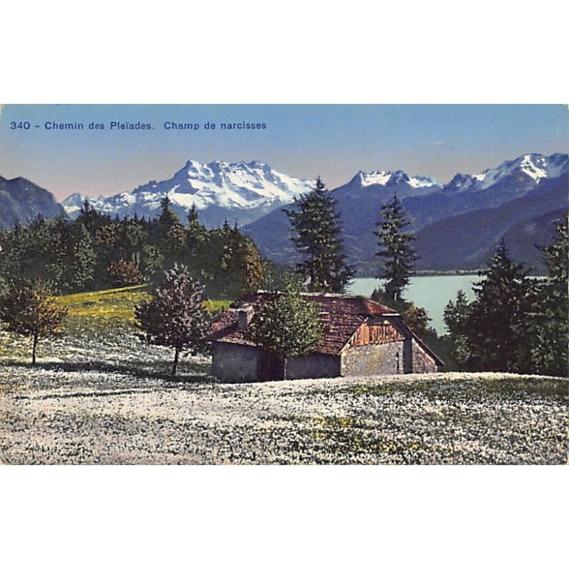 Rare collectable postcards of SWITZERLAND Suisse Schweiz Svizzera. Vintage Postcards of SWITZERLAND Suisse Schweiz Svizzera