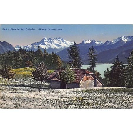 Rare collectable postcards of SWITZERLAND Suisse Schweiz Svizzera. Vintage Postcards of SWITZERLAND Suisse Schweiz Svizzera