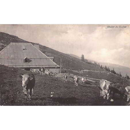 Rare collectable postcards of SWITZERLAND Suisse Schweiz Svizzera. Vintage Postcards of SWITZERLAND Suisse Schweiz Svizzera