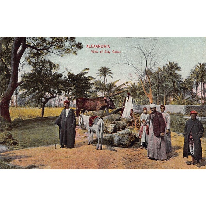 Rare collectable postcards of EGYPT. Vintage Postcards of EGYPT