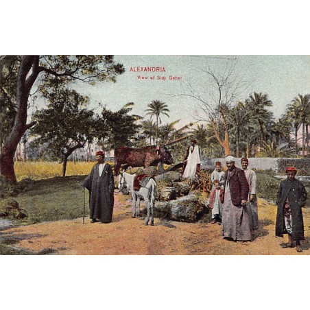Rare collectable postcards of EGYPT. Vintage Postcards of EGYPT