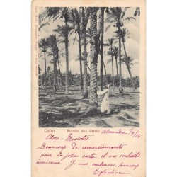 Rare collectable postcards of EGYPT. Vintage Postcards of EGYPT