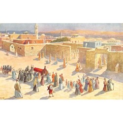 Rare collectable postcards of EGYPT. Vintage Postcards of EGYPT