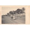 Rare collectable postcards of EGYPT. Vintage Postcards of EGYPT
