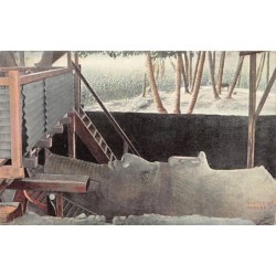 Rare collectable postcards of EGYPT. Vintage Postcards of EGYPT