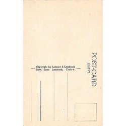 Rare collectable postcards of EGYPT. Vintage Postcards of EGYPT