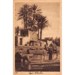 Rare collectable postcards of EGYPT. Vintage Postcards of EGYPT
