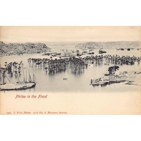 Rare collectable postcards of EGYPT. Vintage Postcards of EGYPT