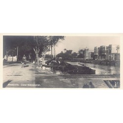 Rare collectable postcards of EGYPT. Vintage Postcards of EGYPT