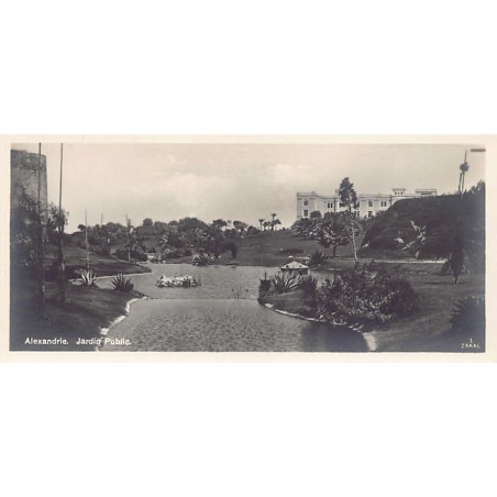 Rare collectable postcards of EGYPT. Vintage Postcards of EGYPT