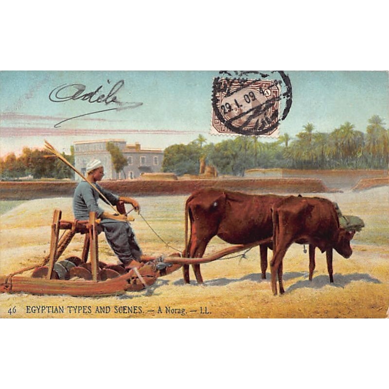 Rare collectable postcards of EGYPT. Vintage Postcards of EGYPT