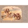 Rare collectable postcards of EGYPT. Vintage Postcards of EGYPT