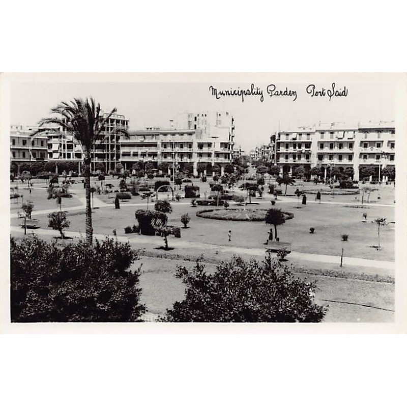 Rare collectable postcards of EGYPT. Vintage Postcards of EGYPT