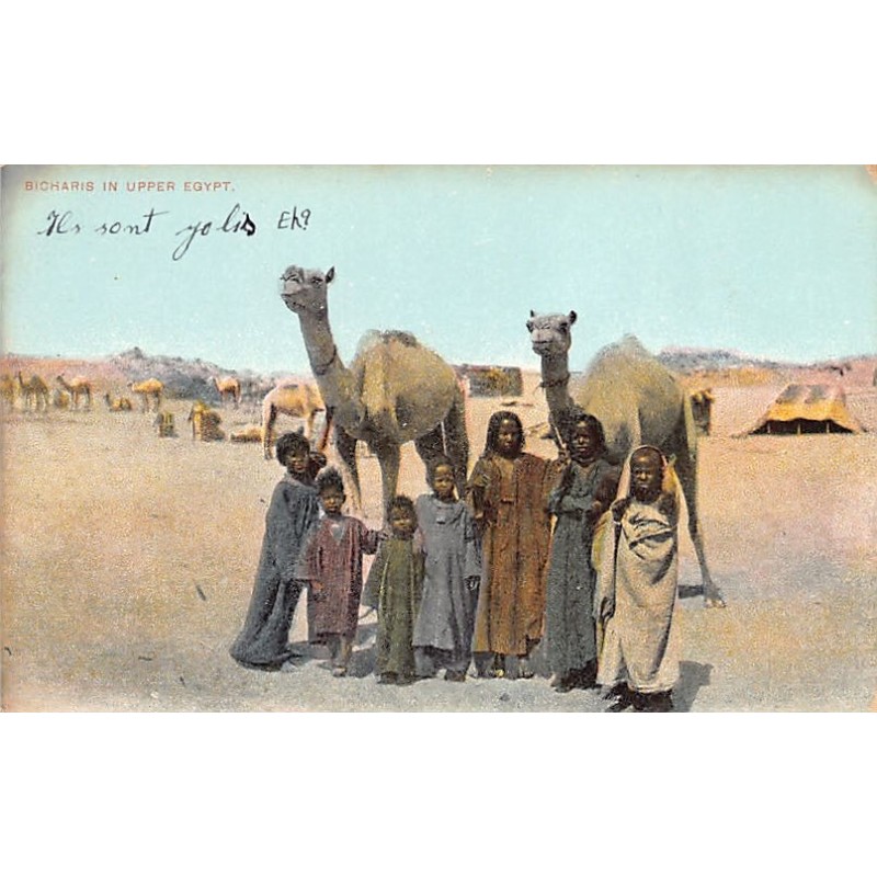 Rare collectable postcards of EGYPT. Vintage Postcards of EGYPT