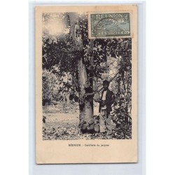Rare collectable postcards of LA RÉUNION. Vintage Postcards of LA RÉUNION