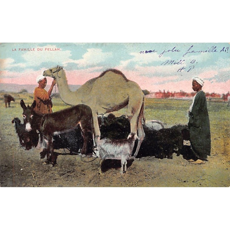 Rare collectable postcards of EGYPT. Vintage Postcards of EGYPT