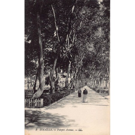 Rare collectable postcards of EGYPT. Vintage Postcards of EGYPT