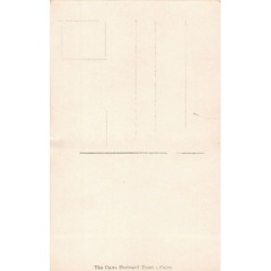 Rare collectable postcards of EGYPT. Vintage Postcards of EGYPT