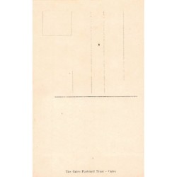 Rare collectable postcards of EGYPT. Vintage Postcards of EGYPT