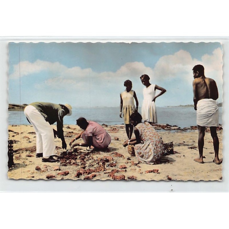 Rare collectable postcards of MADAGASCAR. Vintage Postcards of MADAGASCAR